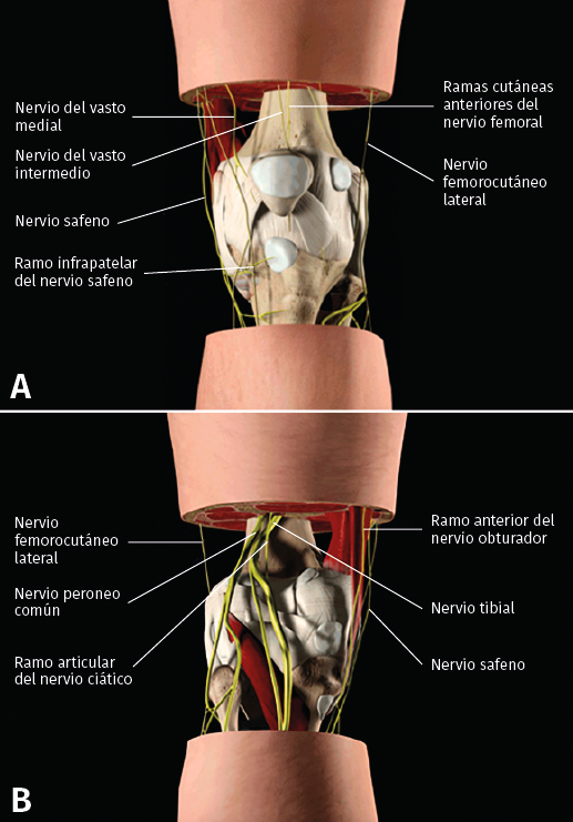 Dimexide aplicare soluție artroza, Cum să anesteziați articulația genunchiului cu artroză