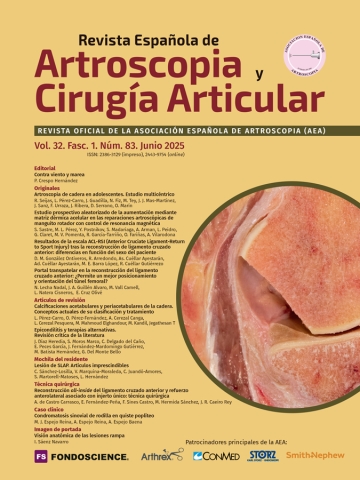 Portada Vol. 32. Fasc. 1. Núm. 83. Junio 2025