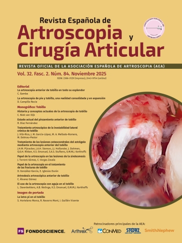 Portada Vol. 32. Fasc. 2. Núm. 84. Noviembre 2025